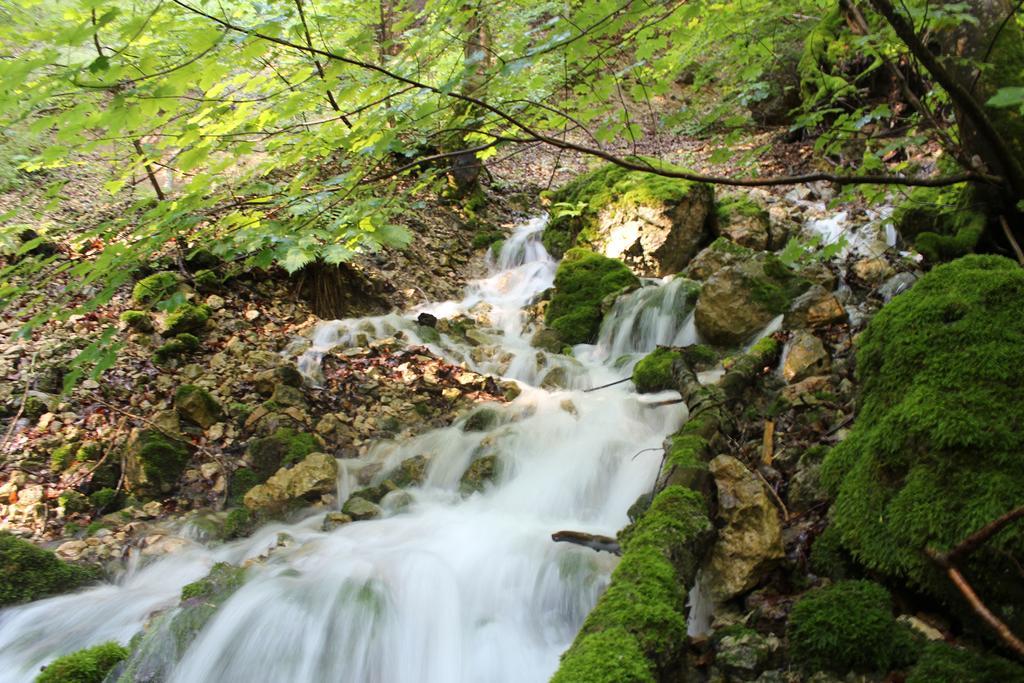 Forellenhof Roessle Hotel & Restaurant Lichtenstein  Dış mekan fotoğraf